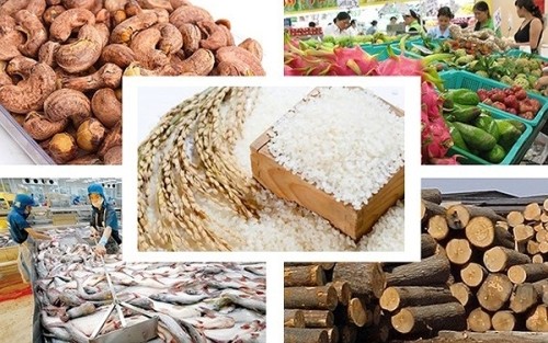 Vượt qua “giông bão”, 2019 xuất khẩu nông sản sẽ đạt kỷ lục với kim ngạch 41,3 tỷ USD ảnh 1 Vượt qua “giông bão”, 2019 xuất khẩu nông sản sẽ đạt kỷ lục với kim ngạch 41,3 tỷ USD ảnh 1