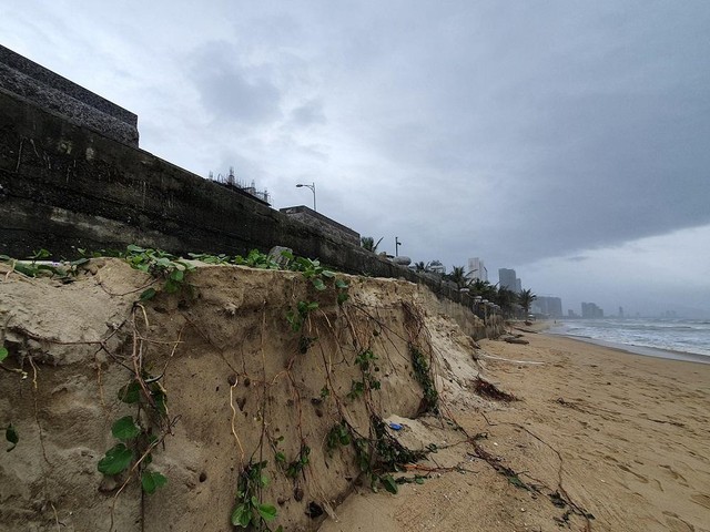 Thành phố Đà Nẵng sẽ thiết lập hành lang bảo vệ bờ biển. Thành phố Đà Nẵng sẽ thiết lập hành lang bảo vệ bờ biển.