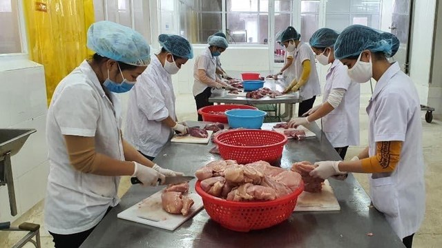 Bavabi đã rất nổi tiếng, không chỉ tại Quảng Ninh, mà còn trong ngành thực phẩm khi tiên phong trong lĩnh vực chế biến các sản phẩm ăn liền cao cấp từ hải sản, như ruốc hàu, ruốc cá, ruốc tép… Bavabi đã rất nổi tiếng, không chỉ tại Quảng Ninh, mà còn trong ngành thực phẩm khi tiên phong trong lĩnh vực chế biến các sản phẩm ăn liền cao cấp từ hải sản, như ruốc hàu, ruốc cá, ruốc tép…