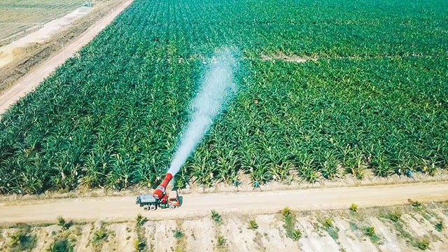 Nếu làm tốt trên nền tảng hữu cơ, thì nông nghiệp Việt Nam hoàn toàn có thể cạnh tranh quốc tế Nếu làm tốt trên nền tảng hữu cơ, thì nông nghiệp Việt Nam hoàn toàn có thể cạnh tranh quốc tế