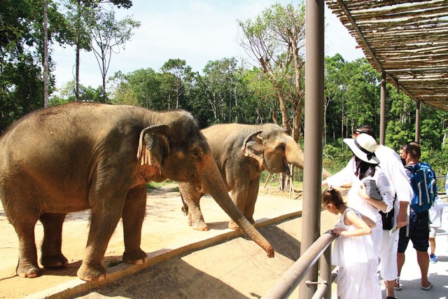 … sống gần gũi với thiên nhiên … sống gần gũi với thiên nhiên