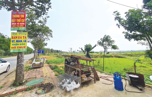 Giá đất nền ở nhiều địa phương liên tục tăng nóng. Ảnh: Dũng Minh Giá đất nền ở nhiều địa phương liên tục tăng nóng. Ảnh: Dũng Minh