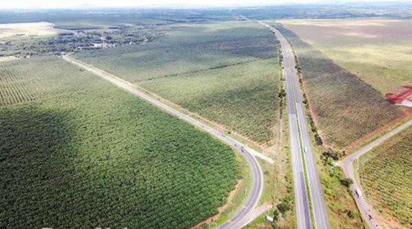 Dự án Nâng cấp, mở rộng ĐT.769 là dự án cấp thiết cần thực hiện sớm để phục vụ thi công sân bay Long Thành. Ảnh: Phạm Tùng. Dự án Nâng cấp, mở rộng ĐT.769 là dự án cấp thiết cần thực hiện sớm để phục vụ thi công sân bay Long Thành. Ảnh: Phạm Tùng.