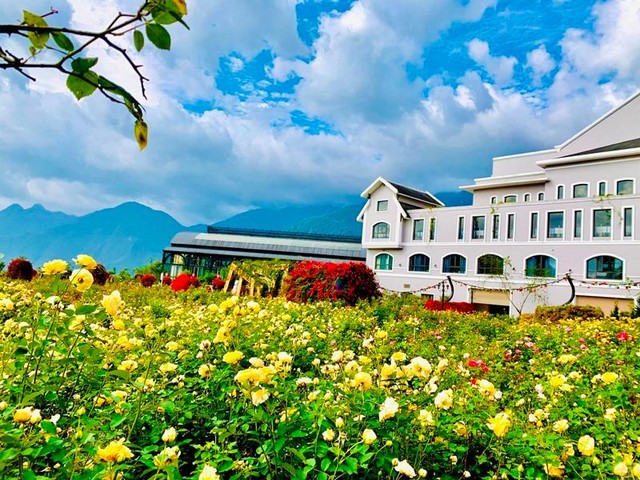 Nắng vẫn cứ vàng ruộm, mây vẫn bay, trời xanh trong mát dịu, và Sa Pa sẽ an nhiên đẹp say lòng trong ngàn vạn sắc hoa từ nay cho đến tháng 7, kịp cho một mùa hè trốn nóng ở nơi thiên đường hoa giữa lưng chừng trời. Nắng vẫn cứ vàng ruộm, mây vẫn bay, trời xanh trong mát dịu, và Sa Pa sẽ an nhiên đẹp say lòng trong ngàn vạn sắc hoa từ nay cho đến tháng 7, kịp cho một mùa hè trốn nóng ở nơi thiên đường hoa giữa lưng chừng trời.