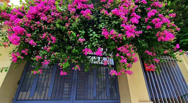 Bất chợt, bạn sẽ quên đi những ồn ào và xô bồ nơi phố thị, chỉ còn lại sự yên tĩnh và tự do trong tâm hồn.