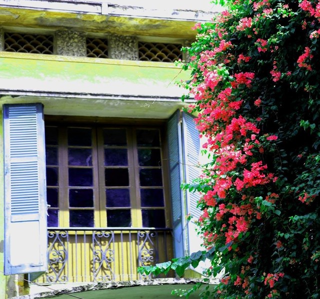 Những sắc hoa thương nhớ bên khung cửa sổ gợi biết bao hoài niệm.