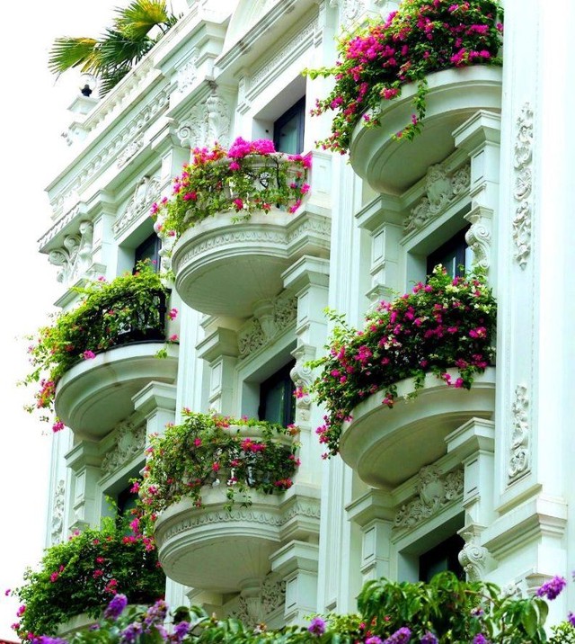 Không ồn ào, tấp nập, những khung cửa sổ ở Hà Nội dưới nắng sớm mang vẻ tĩnh lặng, yên bình, và đẹp hơn bất cứ khoảnh khắc nào trong ngày.