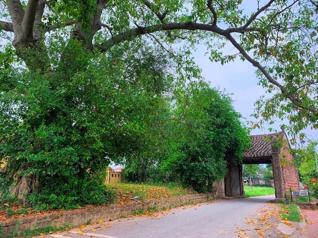 Cổng làng Đường Lâm mang nét đẹp yên bình. (Ảnh: Phương Linh)