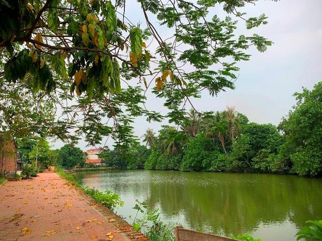 Khung cảnh bình yên của làng cổ Đường Lâm. (Ảnh: Phương Linh)