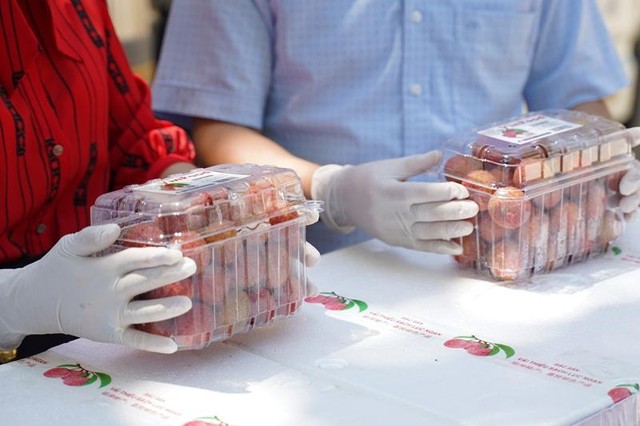 &quot;Vượt Covid-19&quot;, vải thiều Lục Ngạn (Bắc Giang) tìm đường xuất ngoại theo Hiệp định EVFTA.