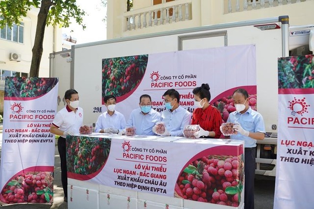 Pacific Foods xuất khẩu lô vải thiều Lục Ngạn (Bắc Giang) đầu tiên đi EU.