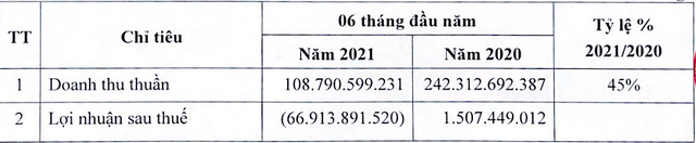Doanh thu thuần và lợi nhuận sau thuế hợp nhất của Taseco Airs trong nửa đầu năm 2021 (Đvt: Đồng).