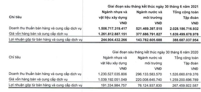 Cơ cấu doanh thu và lợi nhuận gộp tại Nhựa Đồng Nai