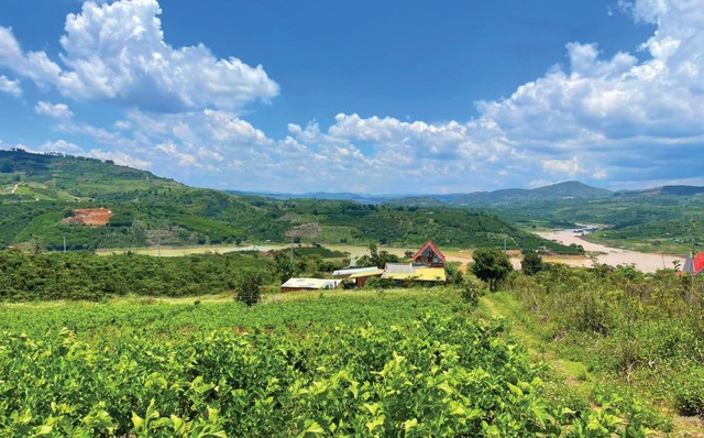 Đất nông nghiệp dọc sông Đồng Nai khu vực huyện Di Linh. Ảnh: Lê Toàn Đất nông nghiệp dọc sông Đồng Nai khu vực huyện Di Linh. Ảnh: Lê Toàn