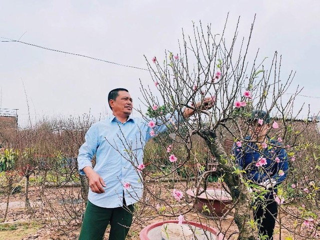 Ông Đỗ Đức Chiến - Phó Giám đốc Hợp tác xã dịch vụ nông nghiệp tổng hợp Nhật Tân (Hà Nội) Ông Đỗ Đức Chiến - Phó Giám đốc Hợp tác xã dịch vụ nông nghiệp tổng hợp Nhật Tân (Hà Nội)