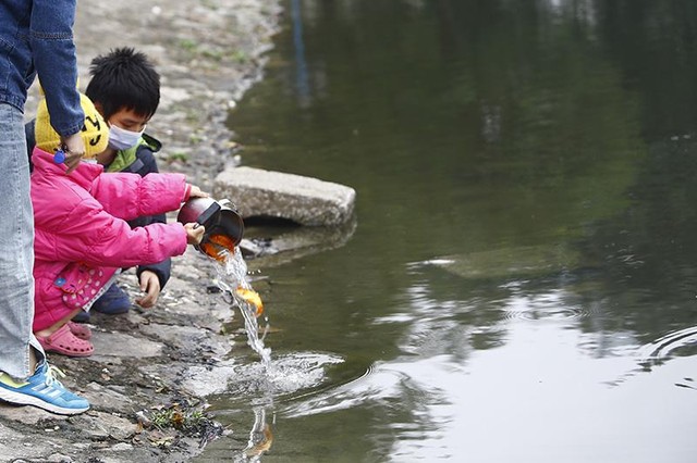 Những đứa trẻ háo hức với lần đầu tiên trong đời được phóng sinh cá chép Những đứa trẻ háo hức với lần đầu tiên trong đời được phóng sinh cá chép