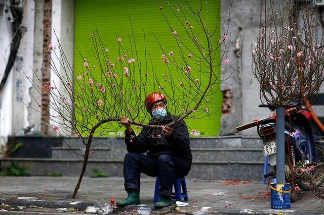 Những cành đào cuối cùng đang được hạ giá đợi khách mua.