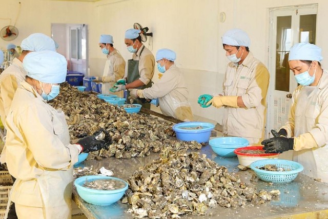 Cụm công nghiệp Vân Đồn sẽ là nơi tập trung các cơ sở sản xuất, chế biến các sản phẩm thế mạnh của địa phương. Cụm công nghiệp Vân Đồn sẽ là nơi tập trung các cơ sở sản xuất, chế biến các sản phẩm thế mạnh của địa phương.