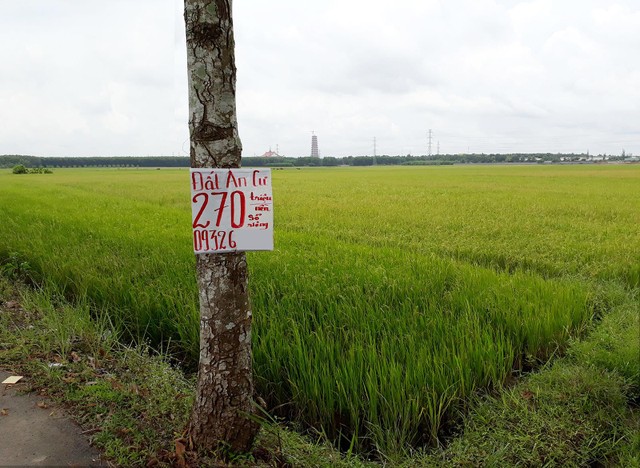 Không dễ chuyển đổi đất nông nghiệp thành đất thổ cư. Ảnh: Việt Dũng Không dễ chuyển đổi đất nông nghiệp thành đất thổ cư. Ảnh: Việt Dũng