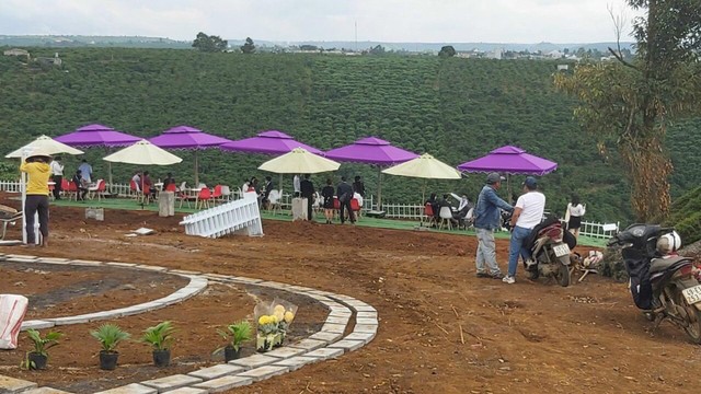 Nhà đầu tư đổ xô đi mua đất trồng cây lâu năm ở tỉnh lẻ. Ảnh: Lê Toàn Nhà đầu tư đổ xô đi mua đất trồng cây lâu năm ở tỉnh lẻ. Ảnh: Lê Toàn