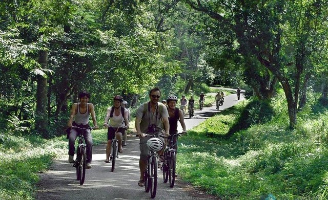 Rừng Cúc Phương với hệ sinh thái đa dạng được trao giải Công viên quốc gia hàng đầu châu Á.