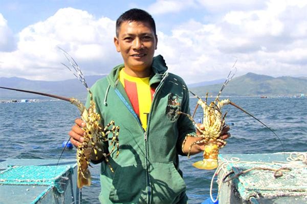 Sự kiện Lễ hội Tôm hùm TX Sông Cầu lần thứ nhất - năm 2022 chính là dịp Phú Yên muốn "nâng tầm" thương hiệu của loại "đặc sản" số 1 về tôm hùm ra thị trường quốc tế Sự kiện Lễ hội Tôm hùm TX Sông Cầu lần thứ nhất - năm 2022 chính là dịp Phú Yên muốn "nâng tầm" thương hiệu của loại "đặc sản" số 1 về tôm hùm ra thị trường quốc tế