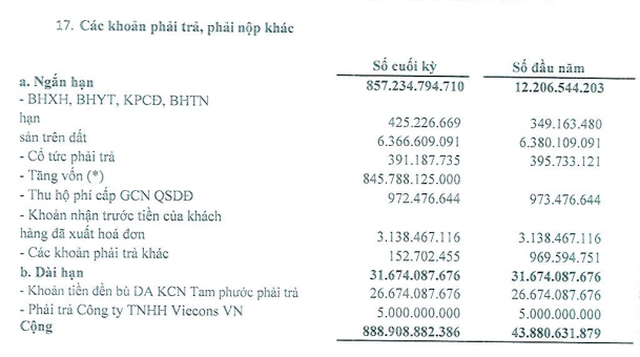 Cơ cấu các khoản phải thu, phải nộp khác của TIP tính tới 30/6/2022. (Nguồn: BCTC). Cơ cấu các khoản phải thu, phải nộp khác của TIP tính tới 30/6/2022. (Nguồn: BCTC).