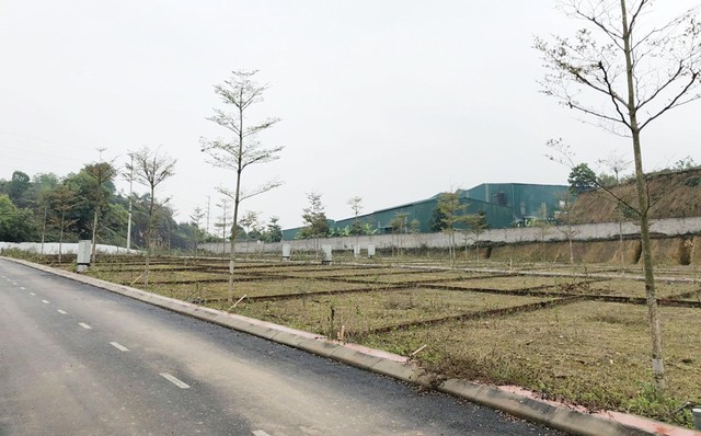 Pháp lý đất đai rất phức tạp. Ảnh: Dũng Minh Pháp lý đất đai rất phức tạp. Ảnh: Dũng Minh