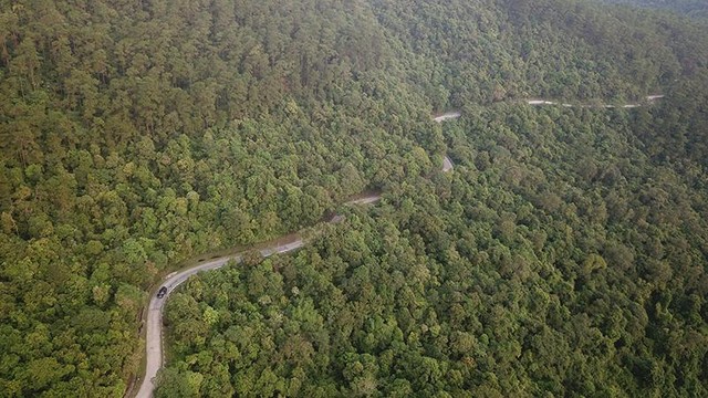 Di chuyển từ Bến xe Bãi Cháy, chỉ mất khoảng gần 2 tiếng đồng hồ di chuyển bằng xe ô tô, đi theo con đường bằng bê tông rộng 7 m, du khách được đi quan rất nhiều vạt rừng, con suối để đến với 1 trong 5 xã nằm trong Khu bảo tồn thiên nihiên Đồng Sơn - Kỳ Thượng - xã Kỳ Thường, cũng là xã miền núi cao nhất của thành phố Hạ Long. Ảnh: Trường Giang.