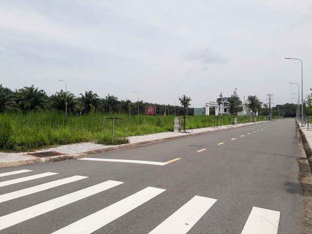 Nhiều lô đất tại dự án Khu nhà ở Tân Lập để cỏ mọc um tùm. Ảnh: Việt Dũng Nhiều lô đất tại dự án Khu nhà ở Tân Lập để cỏ mọc um tùm. Ảnh: Việt Dũng