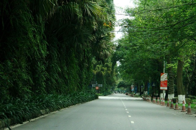 Quỹ đất lớn giúp chủ đầu tư có nhiều không gian quy hoạch tiện ích, cây xanh… Ảnh: Thành Nguyễn