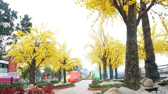 Thành phố Đà Nẵng đầu tư hơn 14 tỷ đồng cho Dự án Trang trí hoa - điện chiếu sáng phục vụ Tết năm 2023. Thành phố Đà Nẵng đầu tư hơn 14 tỷ đồng cho Dự án Trang trí hoa - điện chiếu sáng phục vụ Tết năm 2023.