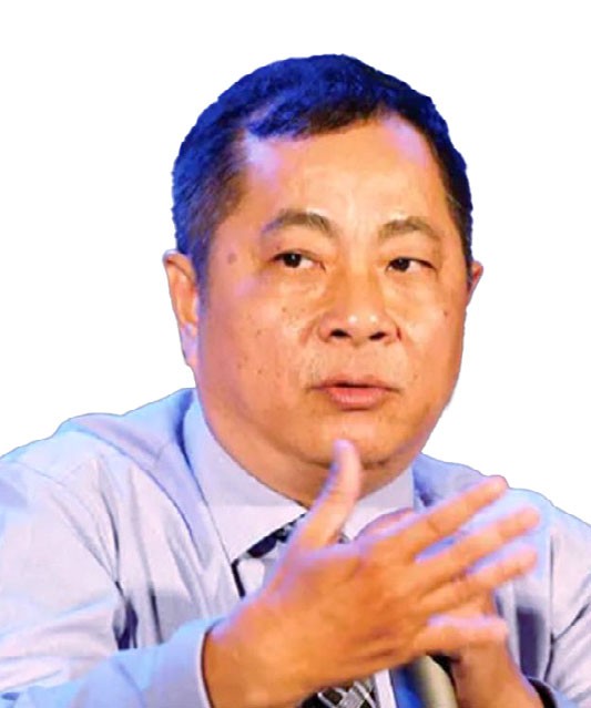 TS. Đinh Thế Hiển, Chuyên gia kinh tế