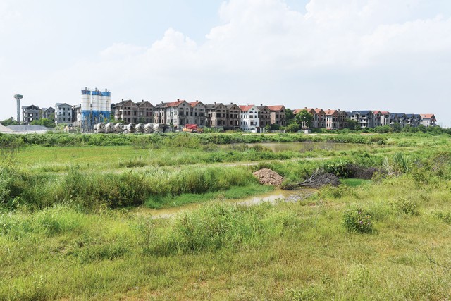 Đất đai là lĩnh vực rất phức tạp. Ảnh: Dũng Minh