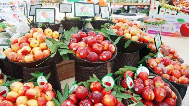 Táo Washington với nhiều ưu đãi hấp dẫn tại BRGMart Táo Washington với nhiều ưu đãi hấp dẫn tại BRGMart