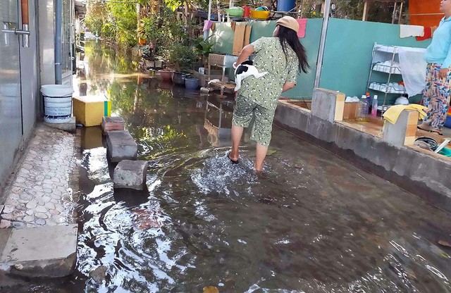Cư dân chung cư Thanh Đa sống trong khổ sở mỗi khi triều cường.