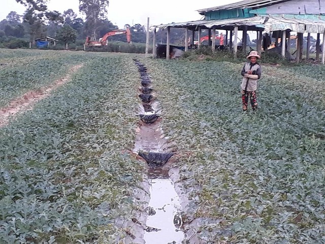 Công ty Sông Trà tố Công ty Thiên Sơn không bàn giao mặt bằng sạch, nhiều vị trí đang tranh chấp với người dân. Công ty Sông Trà tố Công ty Thiên Sơn không bàn giao mặt bằng sạch, nhiều vị trí đang tranh chấp với người dân.