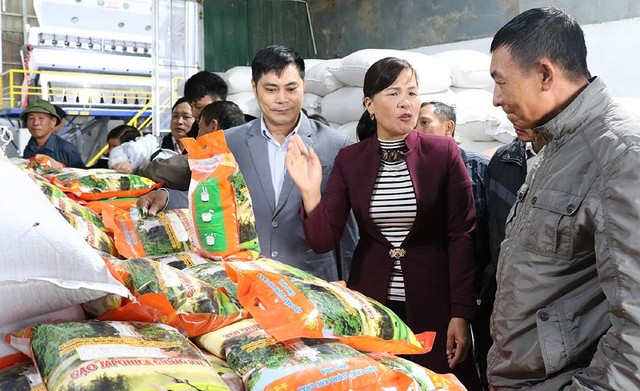 Gạo chất lượng Khu Cháy của hợp tác xã Đoàn Kết. Gạo chất lượng Khu Cháy của hợp tác xã Đoàn Kết.