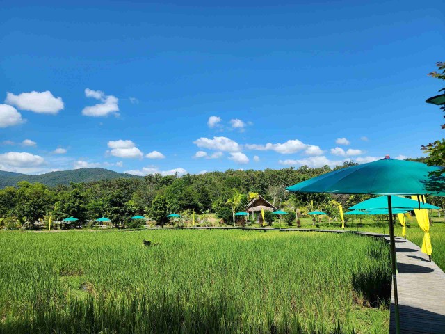 Đoàn tại TP.HCM tham gia hoạt động khảo sát điểm đến du lịch, dịch vụ tại Lào. Đoàn tại TP.HCM tham gia hoạt động khảo sát điểm đến du lịch, dịch vụ tại Lào.