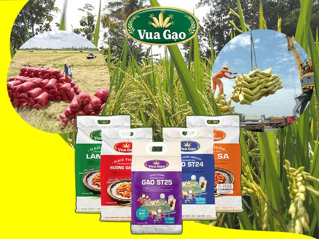 Trung tâm liên kết sản xuất chế biến và tiêu thụ sản phẩm nông nghiệp ĐBSCL tại TP.Cần Thơ góp phần hình thành chuỗi sản xuất liên kết gắn với 3 nhà (nhà nông nhà sản xuất và doanh nghiệp xuất nhập khẩu Trung tâm liên kết sản xuất chế biến và tiêu thụ sản phẩm nông nghiệp ĐBSCL tại TP.Cần Thơ góp phần hình thành chuỗi sản xuất liên kết gắn với 3 nhà (nhà nông nhà sản xuất và doanh nghiệp xuất nhập khẩu