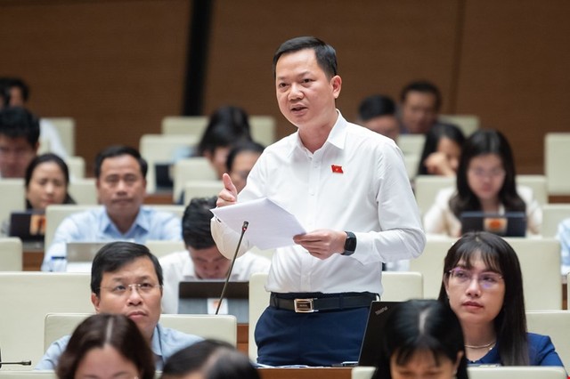 Đại biểu Trịnh Xuân An (Đồng Nai) phát biểu.