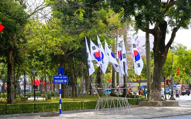 Các cụm quốc kỳ Việt Nam và Hàn Quốc rực rỡ trên đường phố TP. Thái Bình