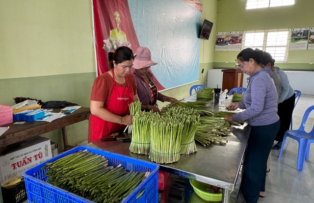 Chị Châu Thị Trâm, tạp dề đỏ thu mua măng tây Chị Châu Thị Trâm, tạp dề đỏ thu mua măng tây