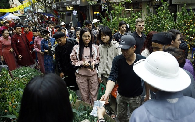 Ngoài hoa đào và quất bình, thì các loại hoa có màu sắc rực rỡ như lan, ly, đồng tiền cũng được ưa chuộng Ngoài hoa đào và quất bình, thì các loại hoa có màu sắc rực rỡ như lan, ly, đồng tiền cũng được ưa chuộng
