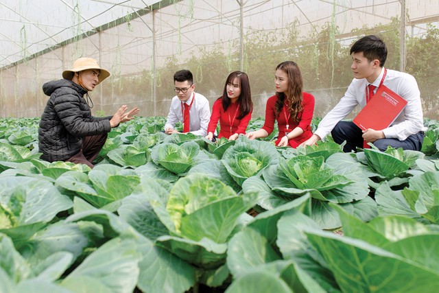 Cán bộ ngân hàng tìm hiểu nhu cầu vốn của các mô hình nông nghiệp xanh tại Thanh Hóa