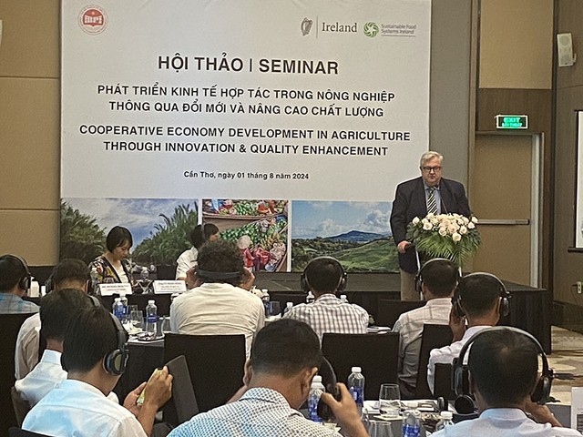 Các chuyên gia từ SFSI chia sẻ kinh nghiệm phát triển kinh tế hợp tác với lãnh đạo, ngành chức năng và quản lý HTX vùng ĐBSCL Các chuyên gia từ SFSI chia sẻ kinh nghiệm phát triển kinh tế hợp tác với lãnh đạo, ngành chức năng và quản lý HTX vùng ĐBSCL