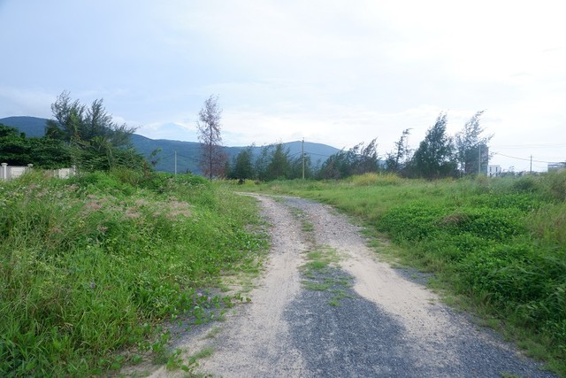 Hiện trạng bên trong dự án có đường mòn nhỏ, xung quanh cỏ mọc um tùm. Hiện trạng bên trong dự án có đường mòn nhỏ, xung quanh cỏ mọc um tùm.