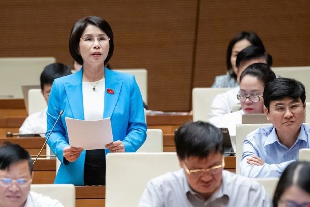 Đại biểu Trần Thị Nhị Hà (Hà Nội). Đại biểu Trần Thị Nhị Hà (Hà Nội).