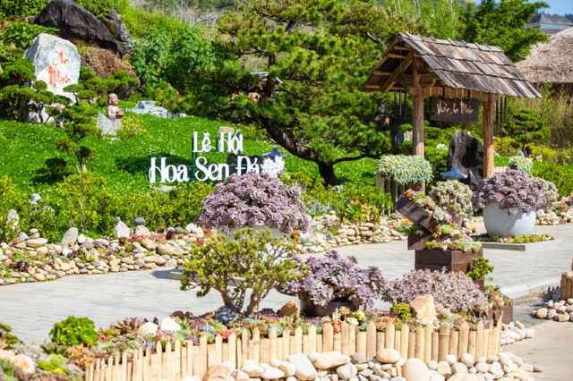 Lễ hội Hoa sen đá lần đầu được tổ chức tại khu du lịch Sun World Fansipan Legend