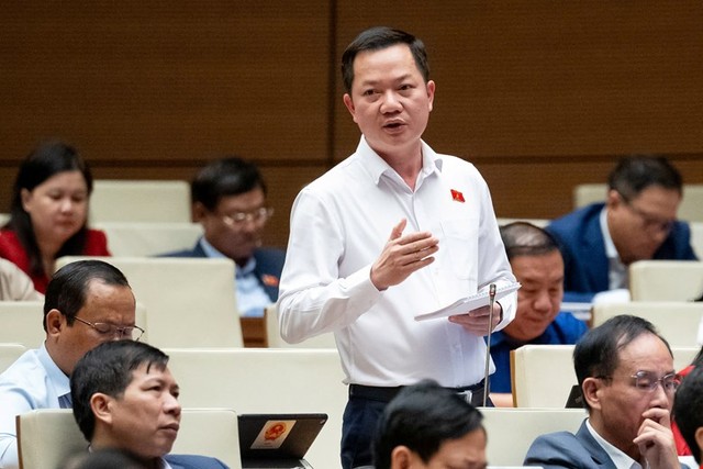 Đại biểu Trịnh Xuân An (đoàn Đồng Nai) Đại biểu Trịnh Xuân An (đoàn Đồng Nai)